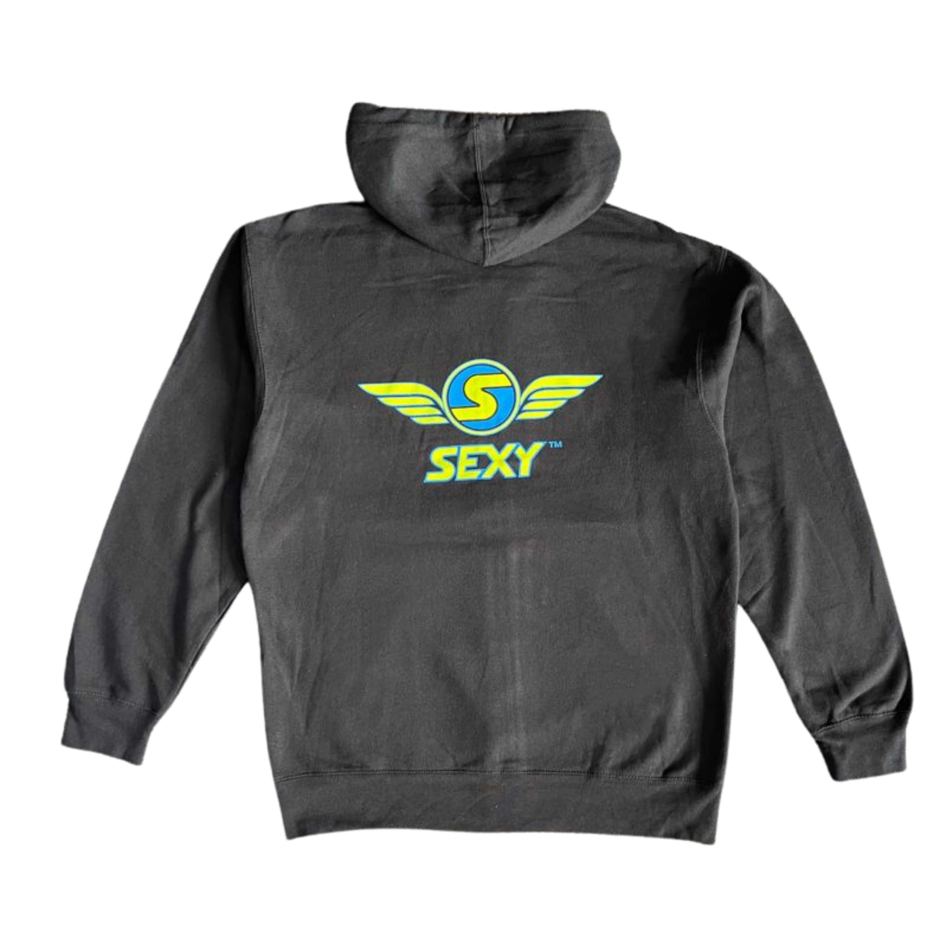 sxy-wings-throwback-hoodie-zip-homme-noir-bleu-vert image 2