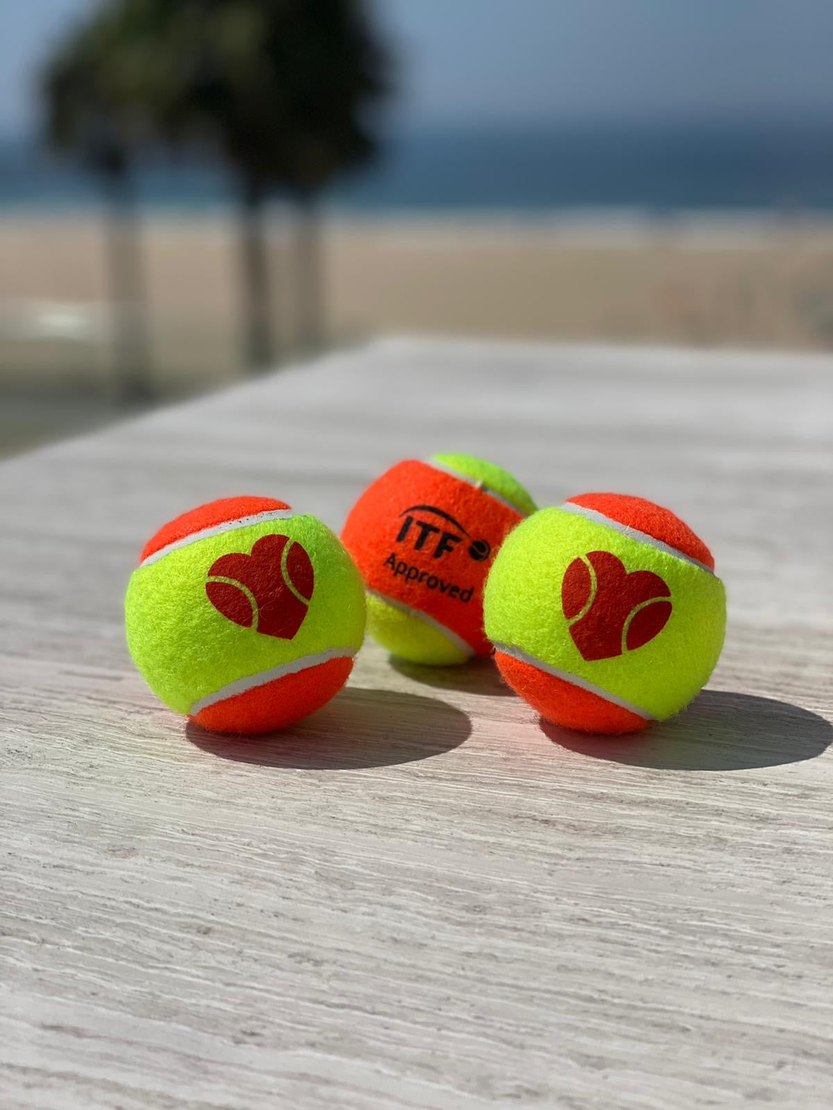sxy-i-bt-balle-de-beach-tennis-homologu-e-itf image 2